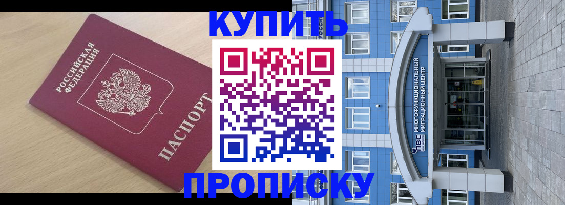 прописка поиск в Курчалом